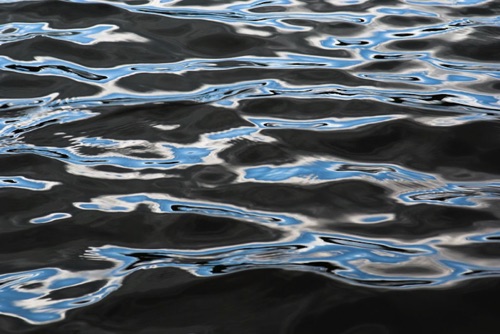 Water Detail, Upland Pond, Sussex County, NJ 09 07 (6923SA).jpg Water Detail, Upland Pond, Sussex County, NJ 09 07 (6923SA).jpg